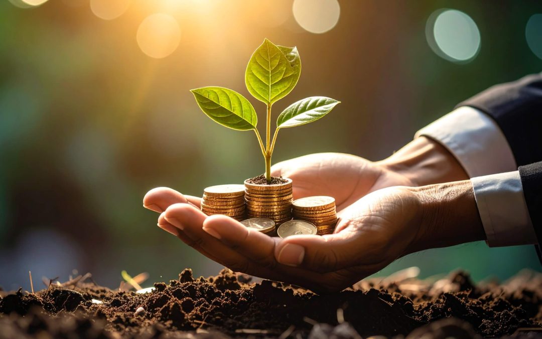 A plant sprouting out of some coins and a man's hands displaying use of Facebook ads for estate agents